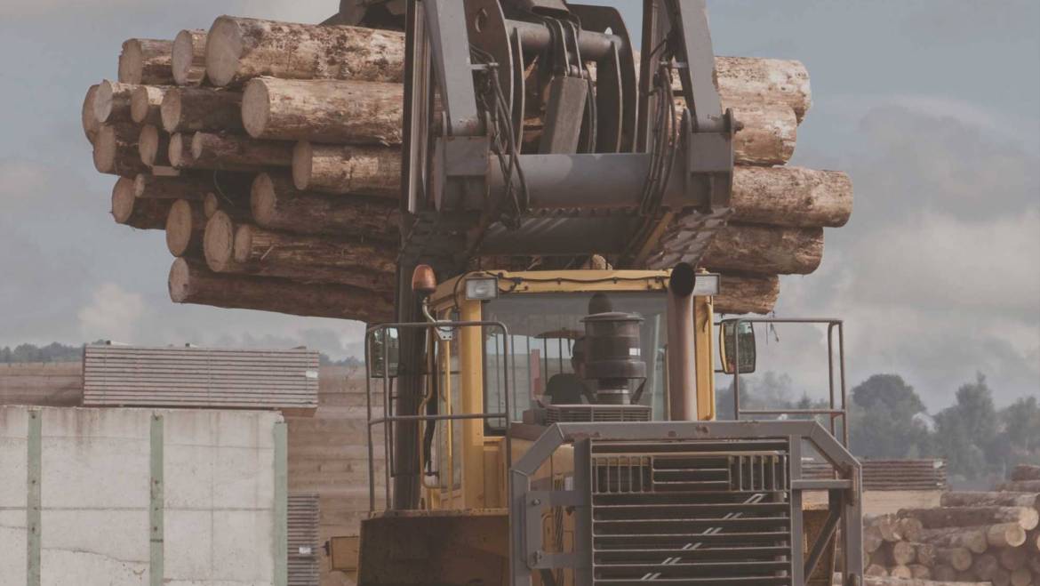 Logging